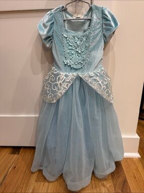 Blue Princess Tulle Cinderella Costume dress